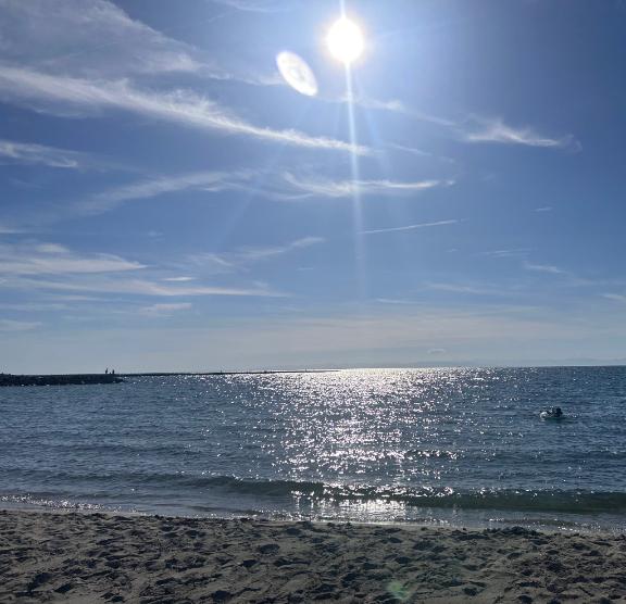 大人な夏休み
