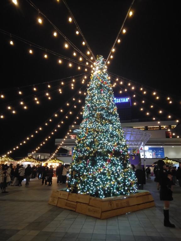 🎅🎄𝑀𝑒𝑟𝑟𝑦 𝐶ℎ𝑟𝑖𝑠𝑡𝑚𝑎𝑠🎄🎁