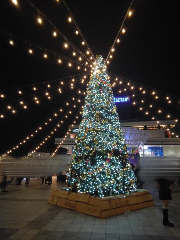 ごめんなさい(*_ _)