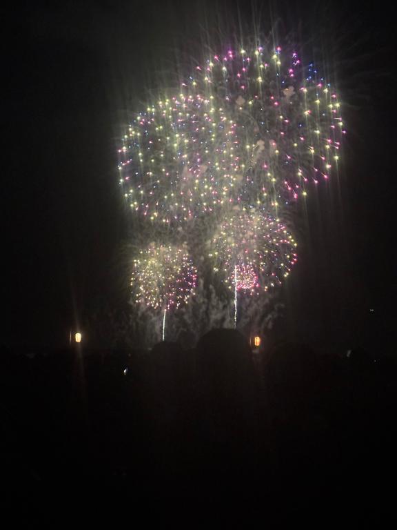 今年の夏は