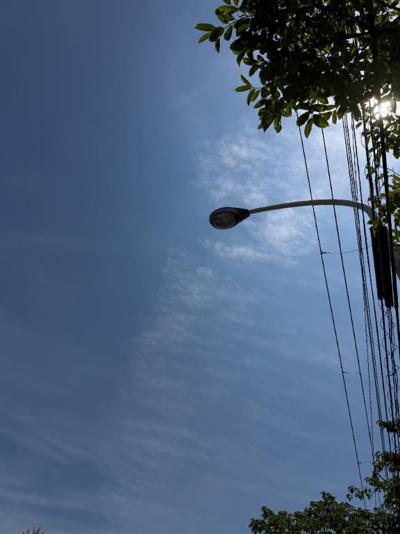 今日はあついね〜☀️
