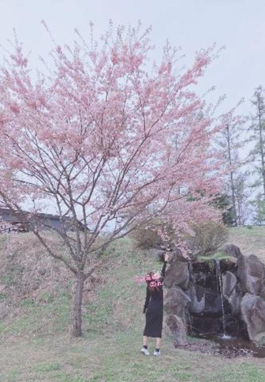 さくら〜♡