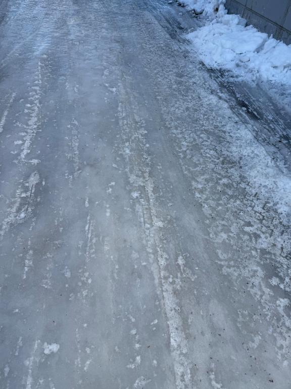 新潟あったかい？？？