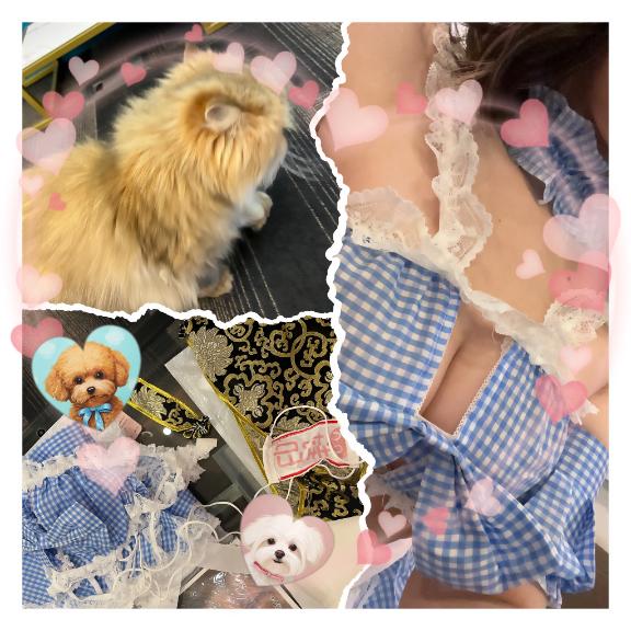 写メ日記サムネイル