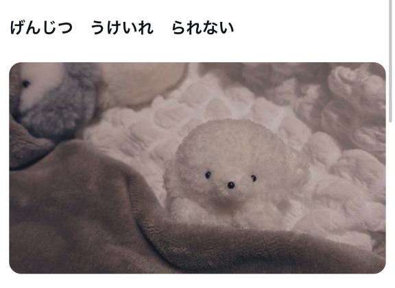 写メ日記サムネイル