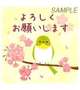 久しぶりに出勤致しました。