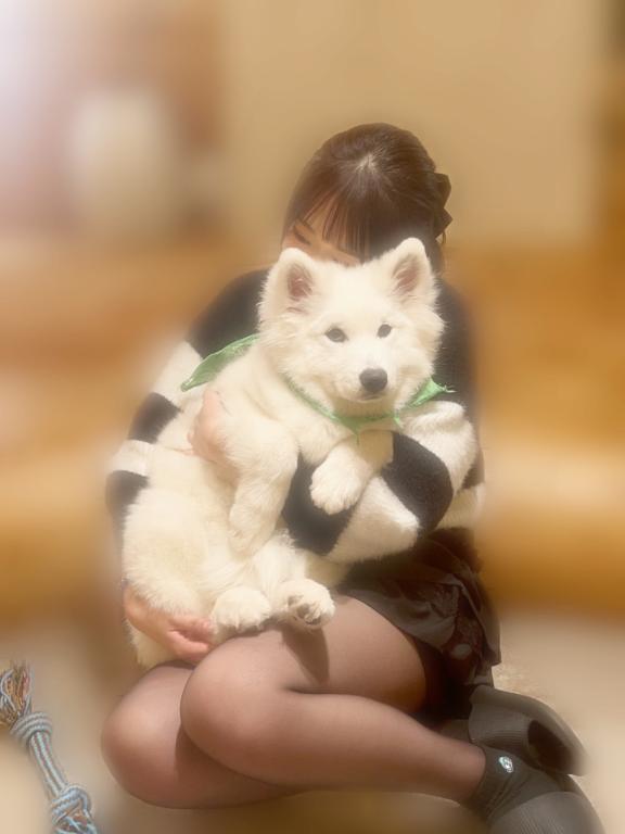写メ日記サムネイル