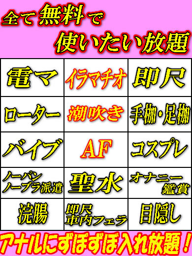 爆乳王～おっぱいは永遠だから～ 上门服务 MINA