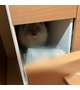 お客様ぁ（猫様）大変こまりますぅ😰