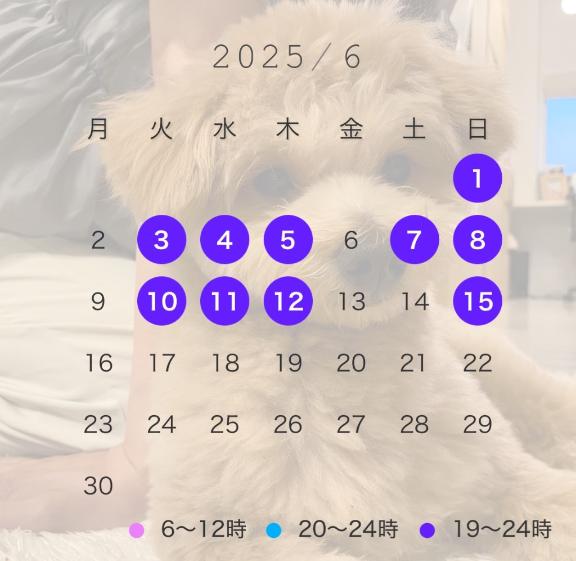 写メ日記サムネイル