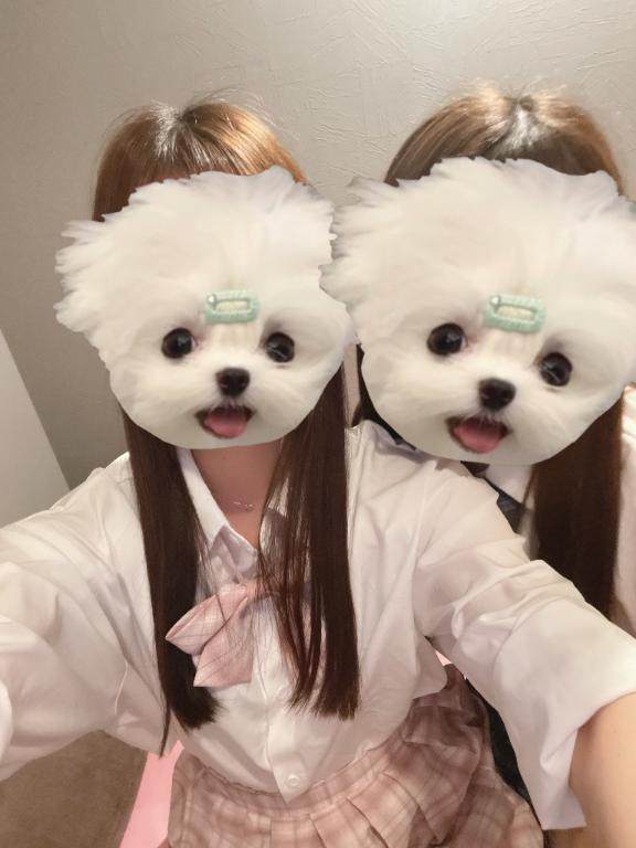 写メ日記サムネイル