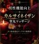 【カルサイネイザン】