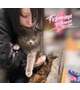 明後日から🐱💖