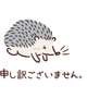 お詫び(´；ω；｀)