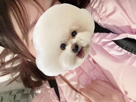 写メ日記サムネイル