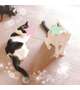 🐾似てきたね