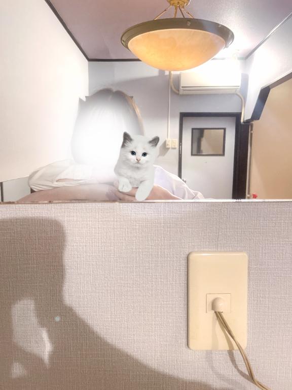 写メ日記サムネイル