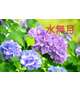 早くも今日から6月で～す!!