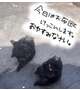 おやすみなさい