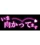 向かっています☆★