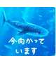 向かっています☆★