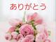 6月