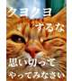 おっはよ