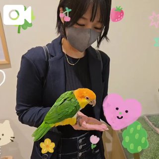 写メ日記サムネイル