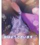 おはようございます！