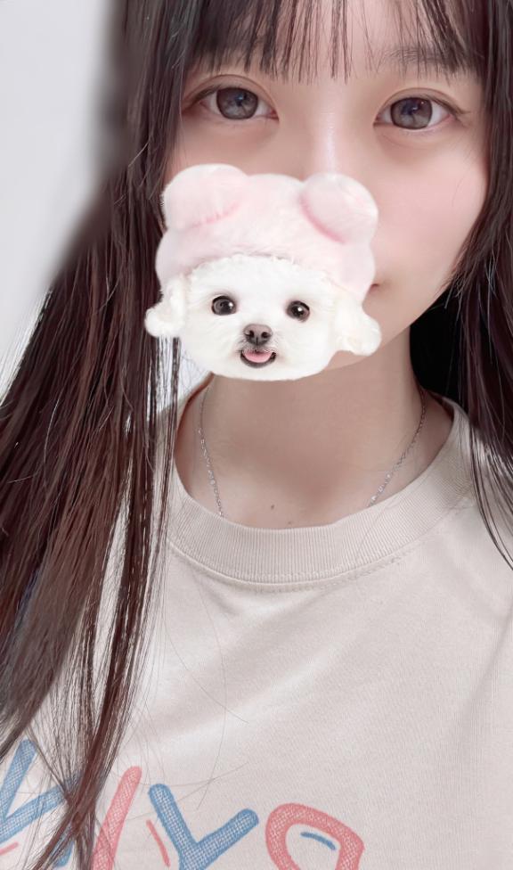 アキカフンですか⁉️