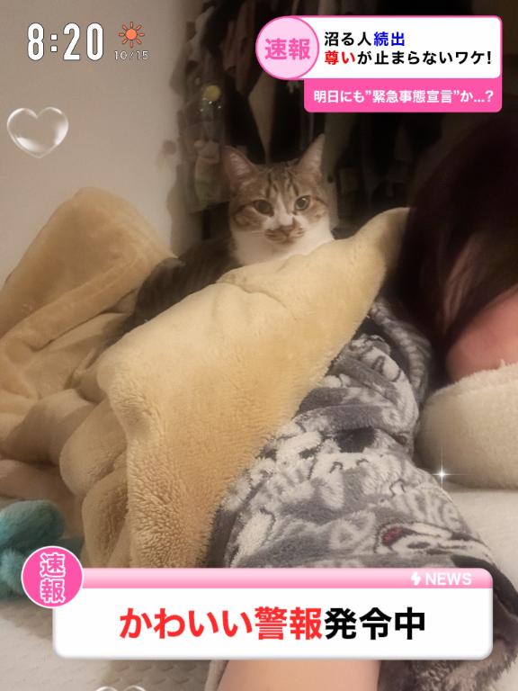 地方予選の結果