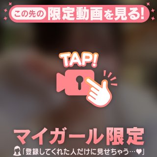 【一日限定日記】ねこの日