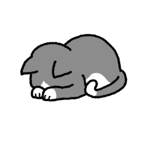 誠に申し訳ございません( т т )