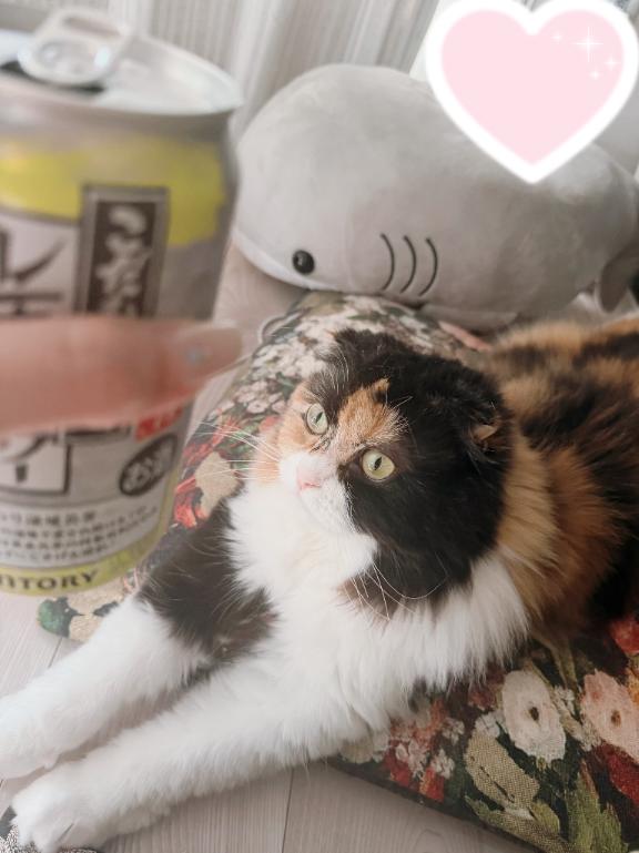 よき