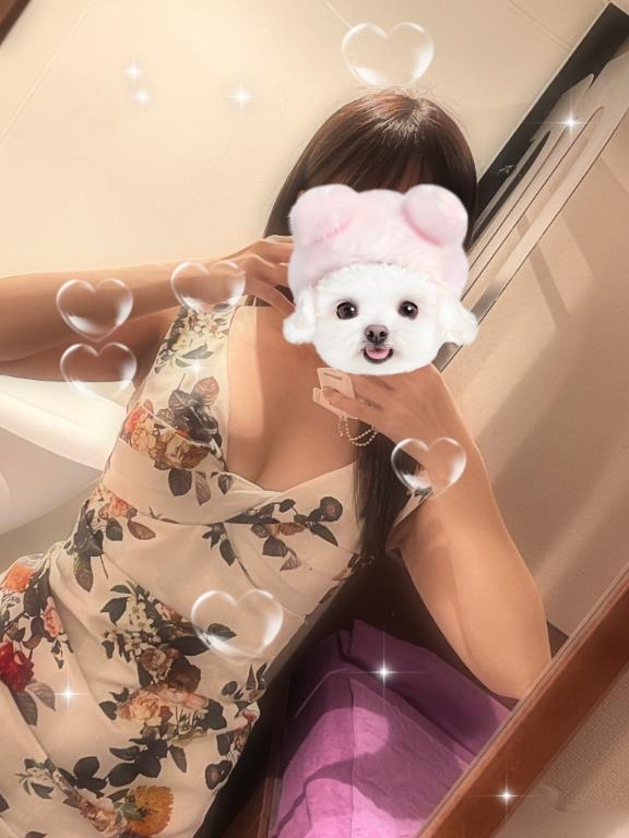 お久しぶりです🌸