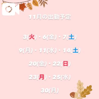 11月の出勤予定🍁‪