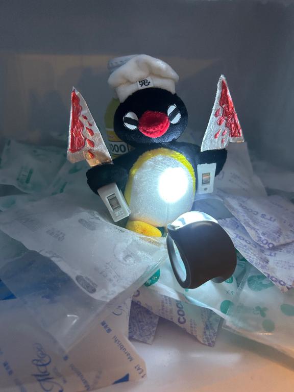 ψ(⃔ ◦`﹀´◦)⃕↝