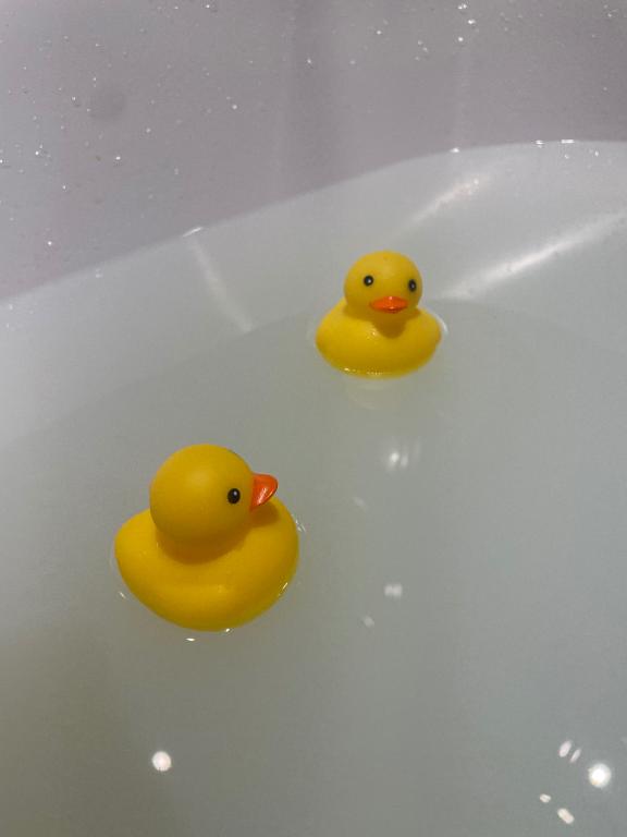 大画面での迫力がすごい
