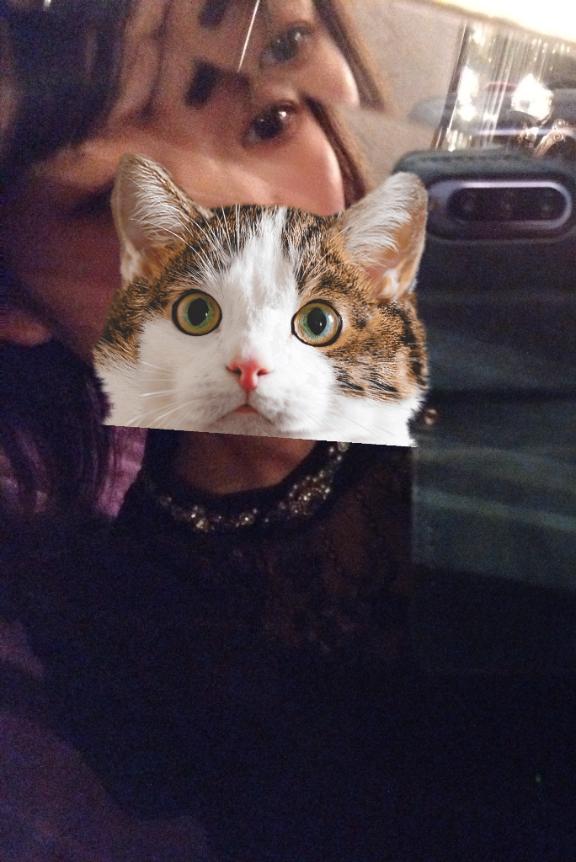 今日はひたむきに隠すあなたの孤独にも😴