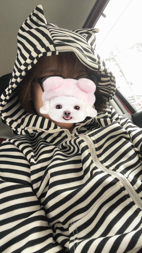 ブンブン🚗💨