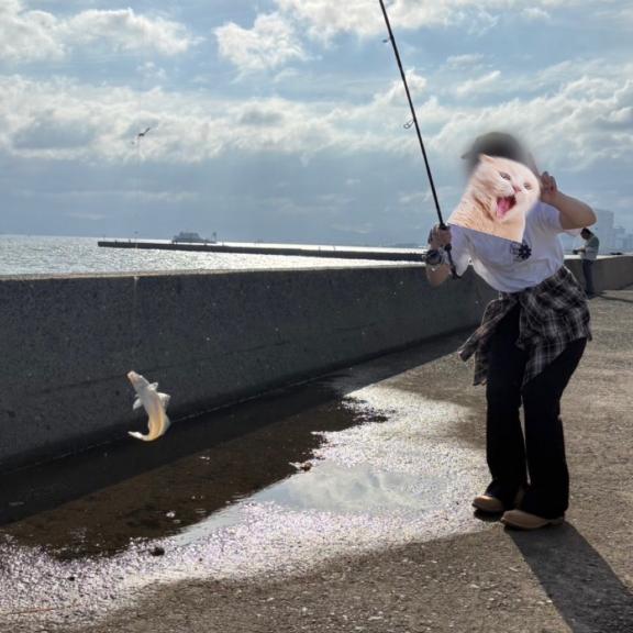 共通点‼️🐶🐟🐶お礼💛
