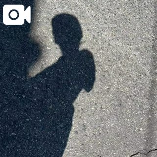 この前散歩した時の🚶‍♀️