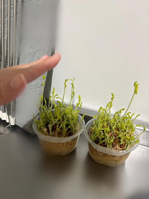 予行練習🥺🌱