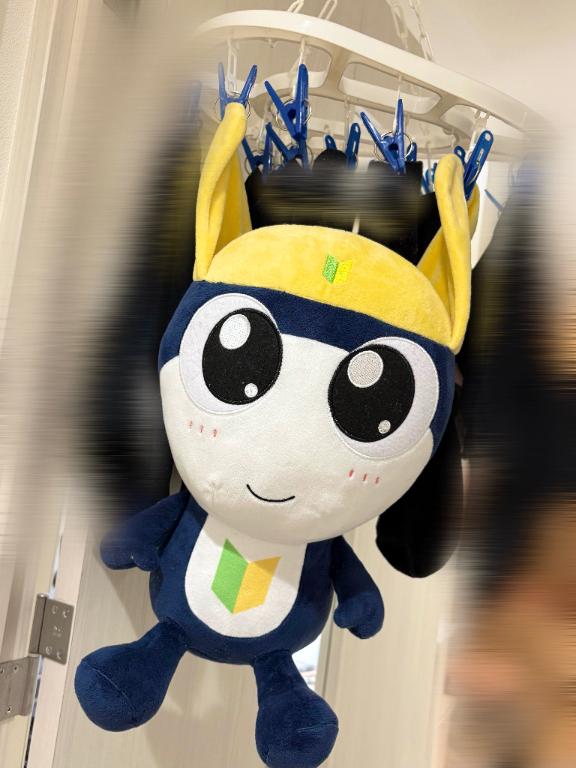 (。・ω・)ノ゙ オカエリ♪
