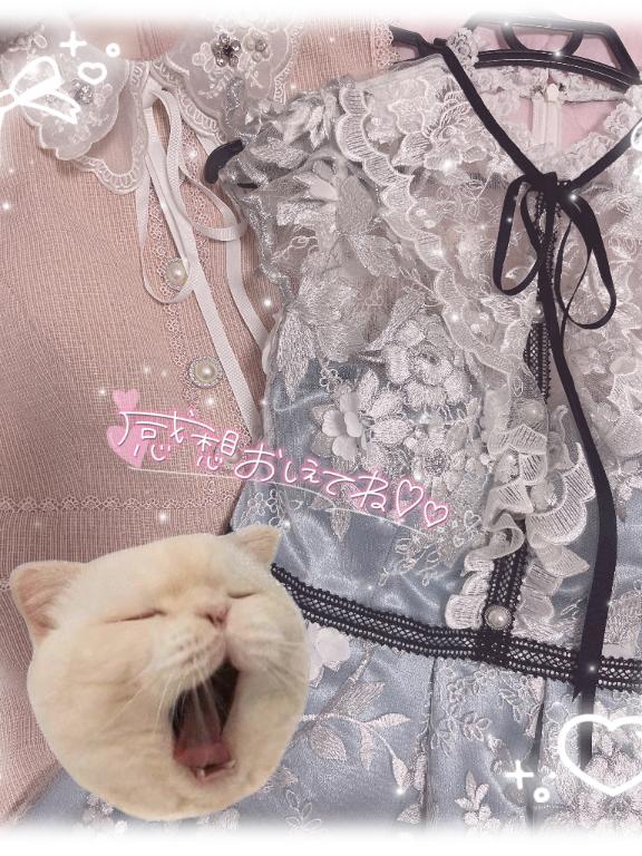 ♡𝑵𝑬𝑾♡