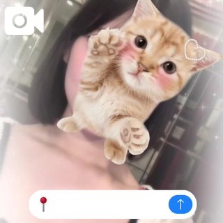 ずっこけ大爆笑‼️