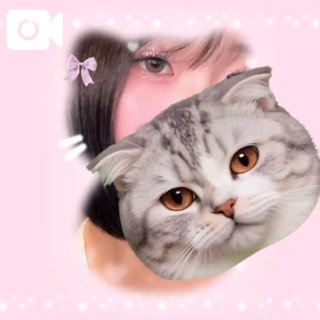 ぷいぷいっモルカー🐹のように走り続けるぜ⭐︎（オレの人生フルスピード💨）