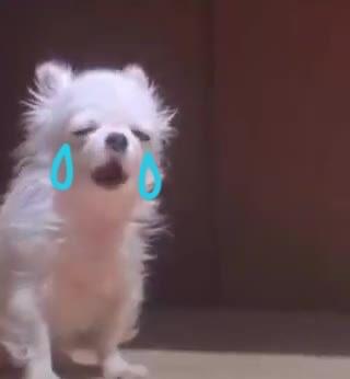 〜今日について〜