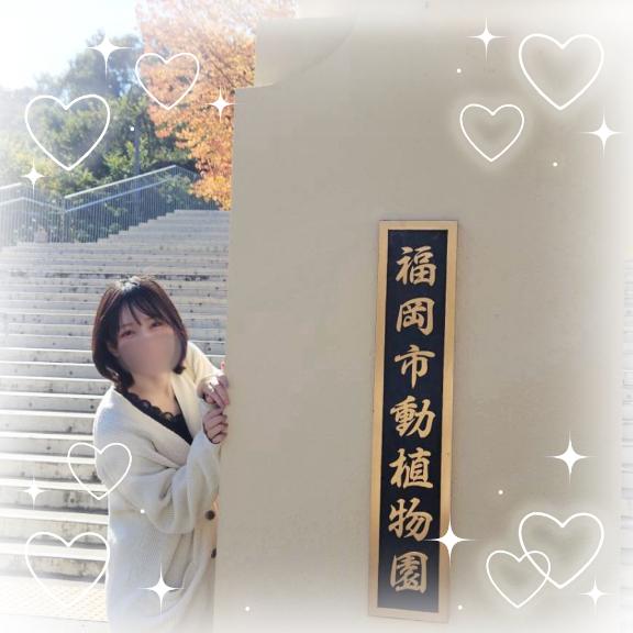 動物園🐯🐻🐵🐘