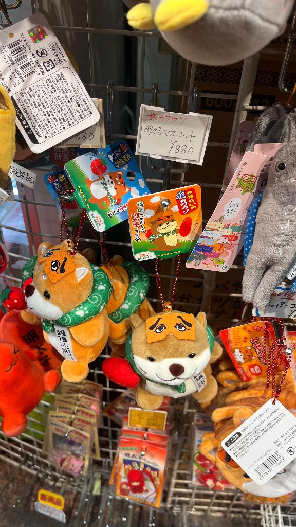 あったよ‼️‼️‼️